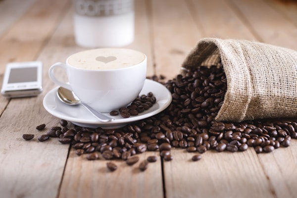Pé de café com frutos vermelhos